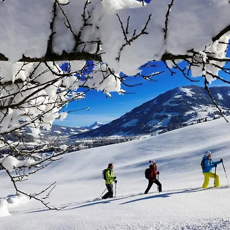 Daire Sunnyside Premium By Alpine Host Helpers Kirchberg in Tirol